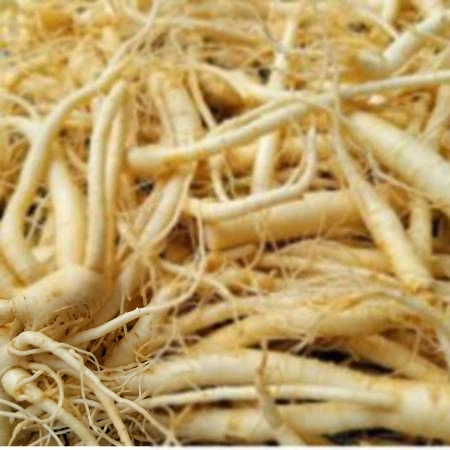 수삼 100g (삼계탕용,소)