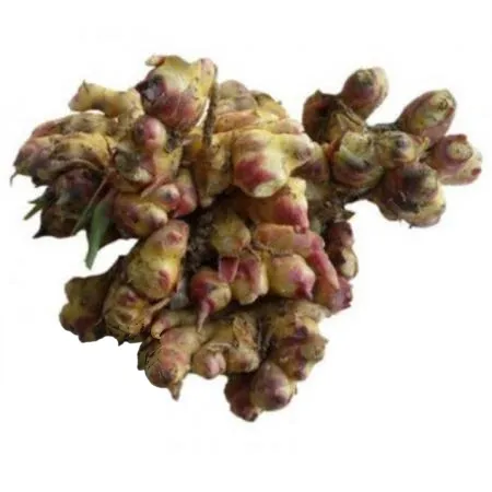흙생강 1kg (소분,국내산)