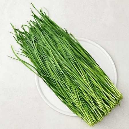 국내산 부추 10kg (약20단)