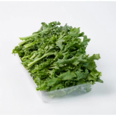 청치커리 2kg (특,국내산)BOX 치커리 청