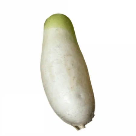 무우 낱개 1개 (특,국내산)