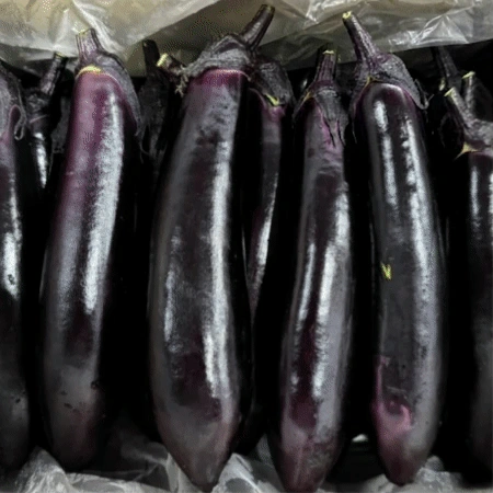 가지 8kg (특,국내산)BOX