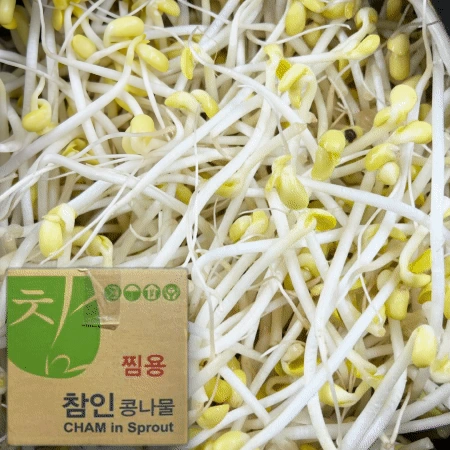 ★초특가★ 일자 콩나물 3.5kg (±200g)
