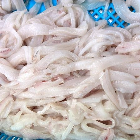 국산 물가자미회 300g 자연산 미주구리 막회 기름가자미 회무침 회덮밥 생선회 세꼬시 물회