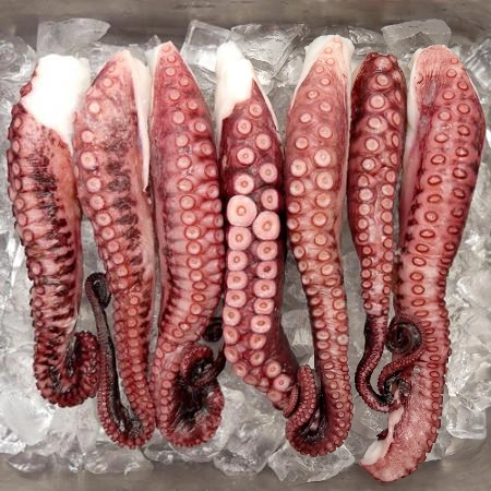 자숙 문어다리 8kg 냉동 업소용 초무침 손질 숙회