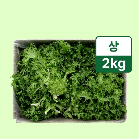 치커리 (상 2kg/BOX)
