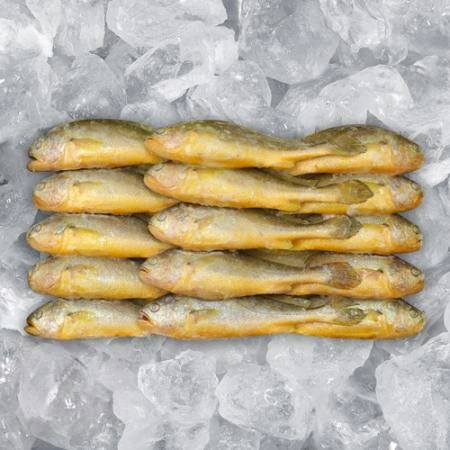 부세 조기 15마리 3.4kg 매운탕 조림 구이