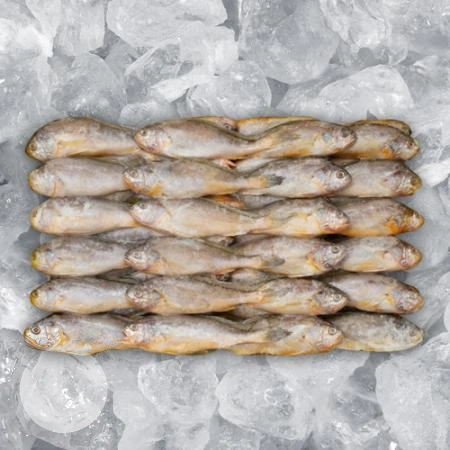 조기 참조기 61/63미 3.5kg 매운탕 조림 구이