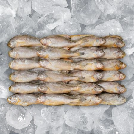 조기 참조기 50/52미 3.5kg 매운탕 조림 구이