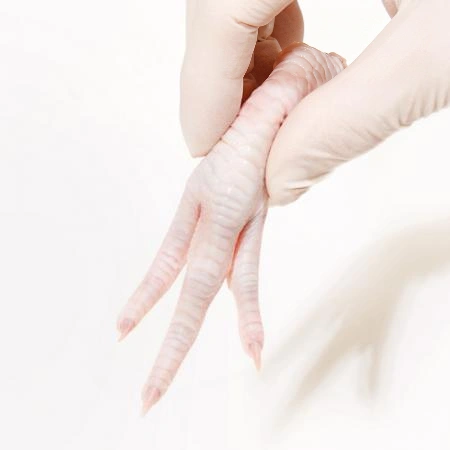 업소용 육수용 닭발 5kg 국내산 뼈있는 삼계 닭발 냉동 생닭발 약닭발