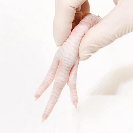업소용 대용량 육수용 닭발 10kg 국내산 뼈있는 삼계 닭발 냉동 생닭발 약닭발