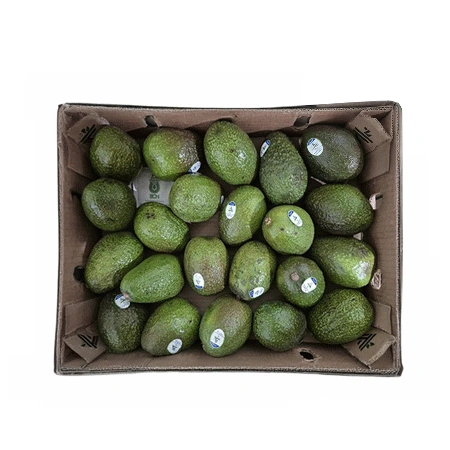★수입과일특가★ 아보카도(4Kg/BOX)