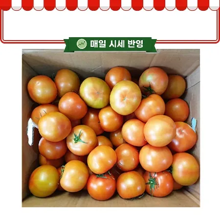 프레시원 완숙 토마토 (1~2번과, 20~25과 5Kg/BOX)