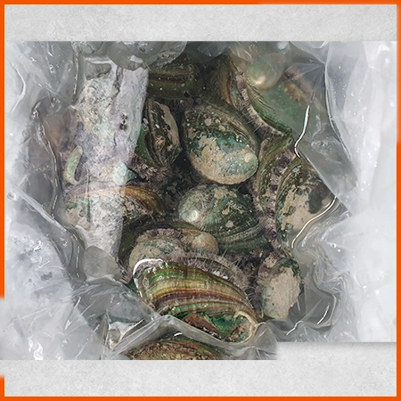 전복 1kg ( 생물_20~23마리/kg )