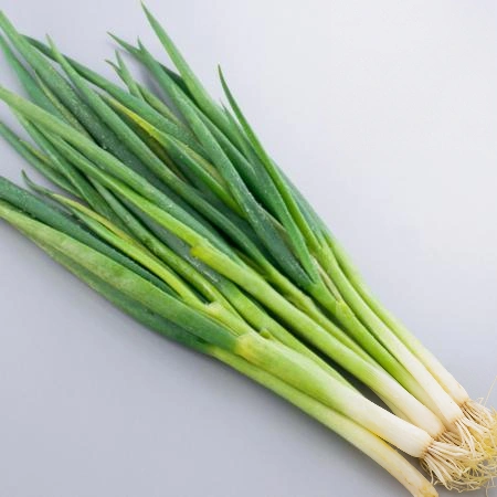 수입산 A급 대파 10kg [ 중국산 수입야채 파 ]