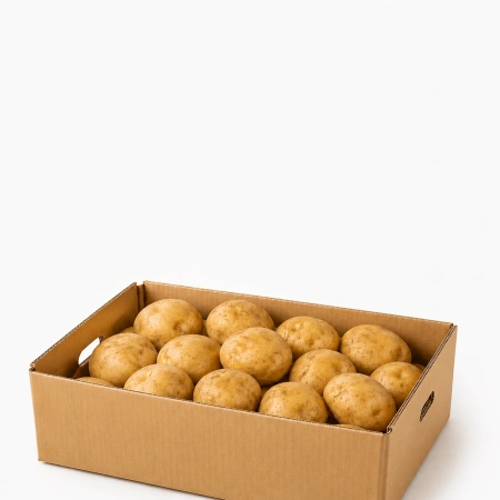 ★알뜰 특가★ 햇감자 (왕특 / 국내산) 20kg box
