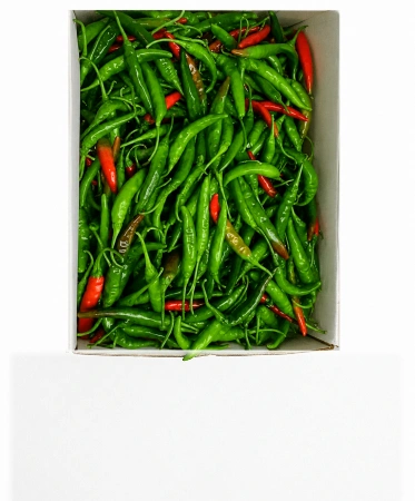 ★알뜰 특가★ 청양고추 (상 / 반홍 최대 30-40% 포함 / 국내산) 1kg