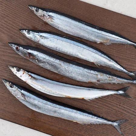 업소용 대용량 꽁치 18kg(9kg x 2박스) 냉동꽁치 2번 구이용 낚시용 생선