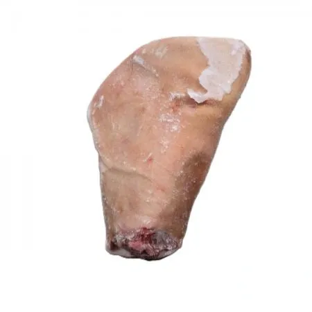 [냉동] 돈학_티칸_원물_19kg_덴마크
