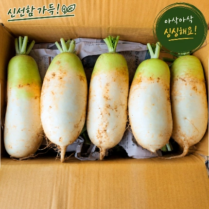 ★입점 특가★ 햇 무 (무우 / 센터 / 특A / 8-12수 / 국내산) 18kg 내외 box
