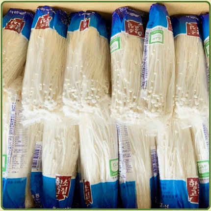 ★입점 특가★ 팽이버섯 (황소팽이 / 150g x 34ea / 국내산) 1 box