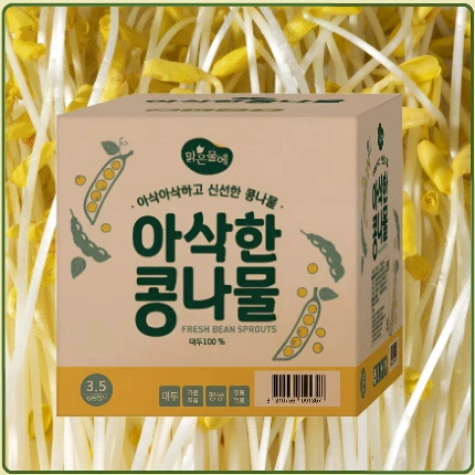 ★입점 특가★ 일자 콩나물 (수입콩 / 국내제조) 3.5kg (±10%) box