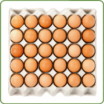 ★계란 핫★ 계란 (대란 / 30알 / 국내산) 1판