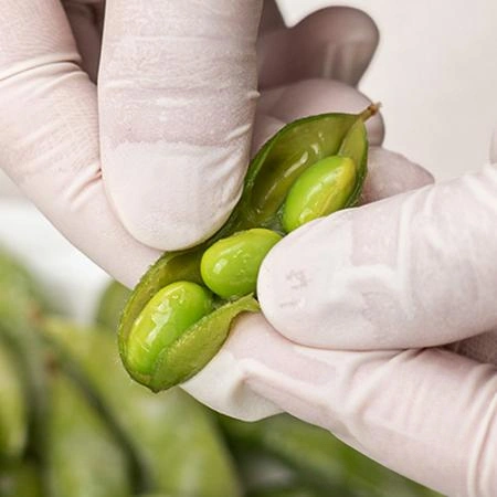 대용량 자숙대두 6.75kg(450g x 15팩) 풋콩 대두 콩 에다마메 안주 업소용 식당용