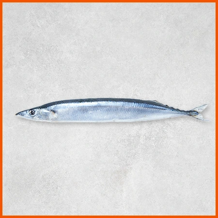 꽁치(100-110g 100g/EA)