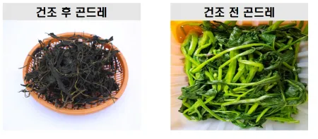냉동곤드레 1kg 이미지