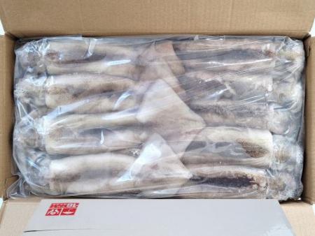 [Box출고] 베이트 오징어, 11미