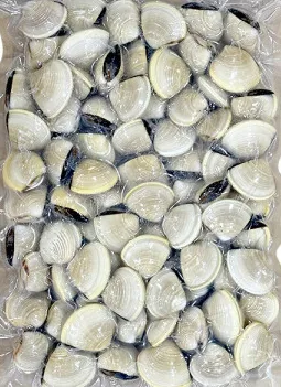 냉동 백합 41/60사이즈, 1kg