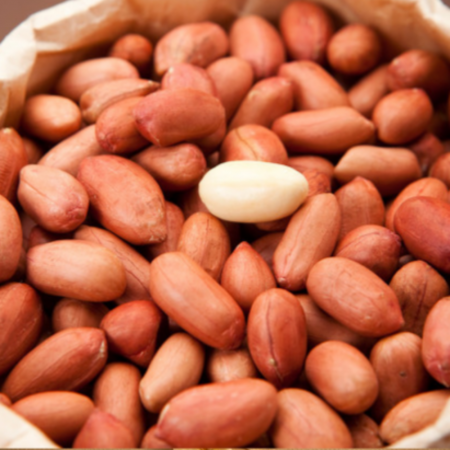 [도매] 볶음관땅콩 3.75KG