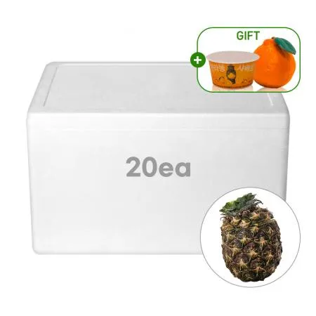 [17% 할인행사] 파인애플 샤베트 130ml 20개 [한라봉 샤베트+한라봉 케이스 증정]