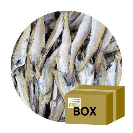 [박스무배] 참명태 노가리 10KG 중대