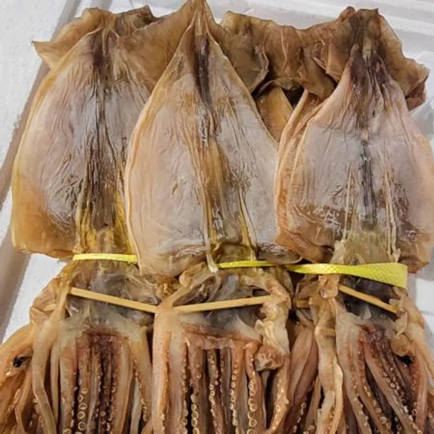 국내가공 마른오징어 건오징어 대/중/소 1.2kg 20미내외 오징어 도매 업소용 안주 간식 이미지