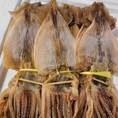 국내가공 마른오징어 건오징어 대/중/소 1.2kg 20미내외 오징어 도매 업소용 안주 간식  이미지