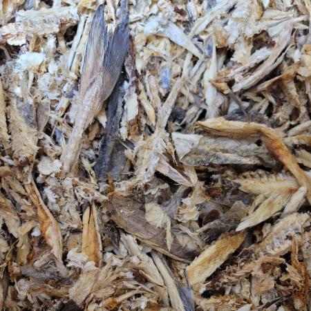 [도매]황태부산물 파지 1KG