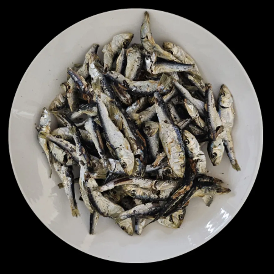국산 청어(솔치) 다시 국물용 멸치 1.5kg (20-484) 이미지