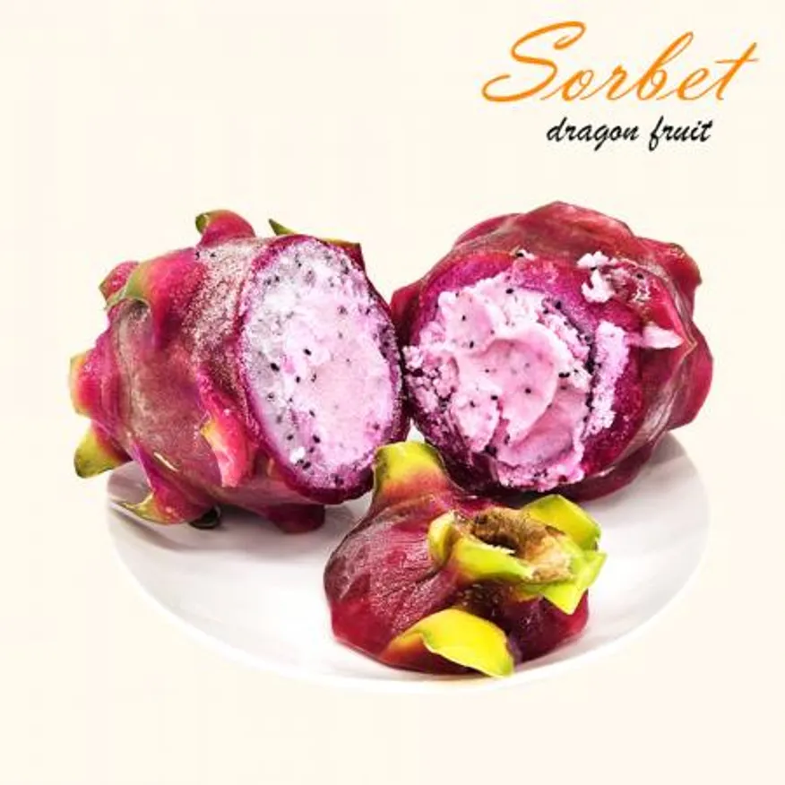 용과샤베트 20개 이미지