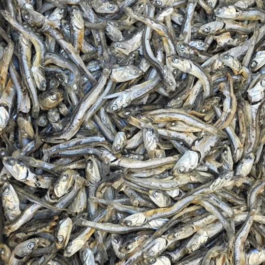 서해 고주바멸치 1.5kg (3-102) 이미지