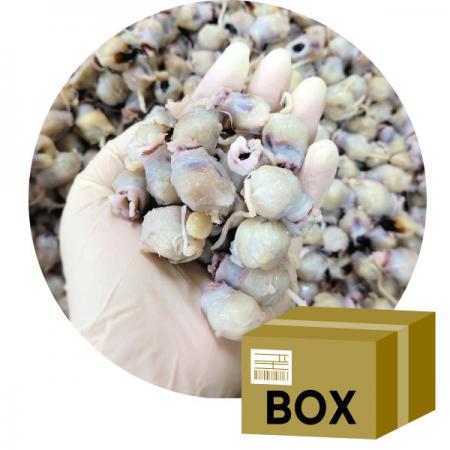 [박스무배]국산 반건조 조미오징어입 10KG