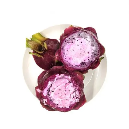 용과샤베트 20개 이미지