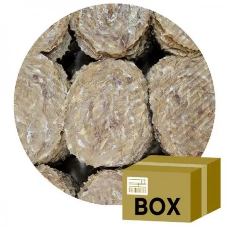 참쥐포 2L 10kg