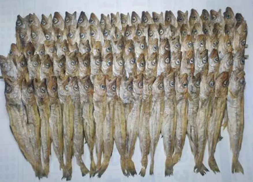 줄노가리 특 100급 100미 대구 지방태 이미지