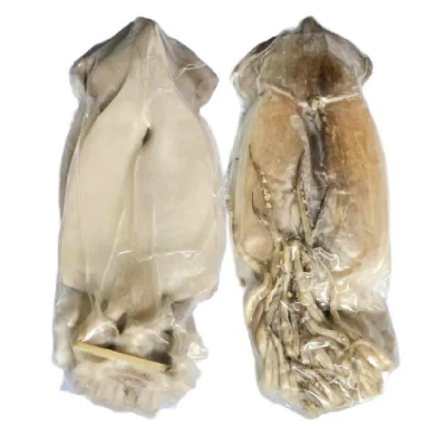 반건조오징어 피데기 특대 1.7kg 이상 (10미) 원양산 국내가공 이미지