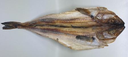 짝태 대  1미 부드러운 맛