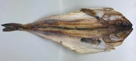 짝태 대  1미 부드러운 맛
