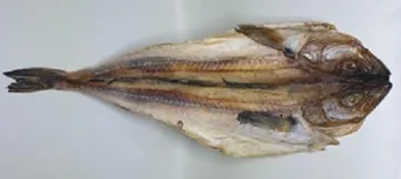 짝태 대  1미 부드러운 맛
