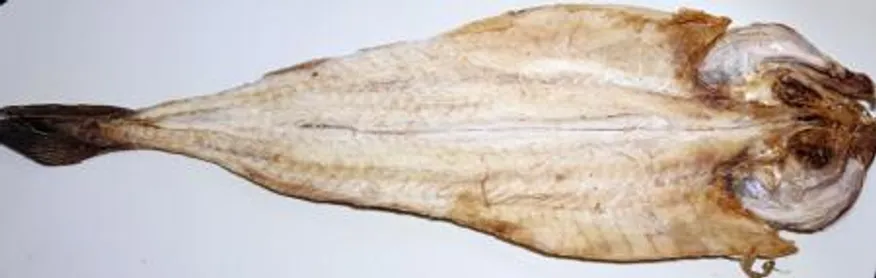 짝태 대 (大) 10미 부드러운 맛 이미지